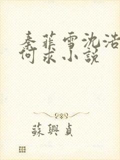 秦菲雪沈浩一生何求小说