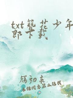 txt簪花少年郎下载