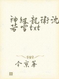 神级龙卫沈浪苏若雪txt