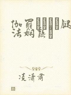 伽罗ちゃんが腿法娴熟を