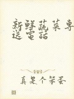 新鲜蔬菜专业配送电话