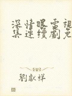 深情眼电视剧全集连续剧免费看