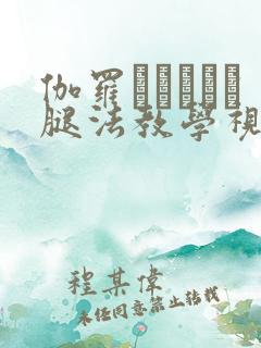 伽罗あちゃんが腿法教学视频