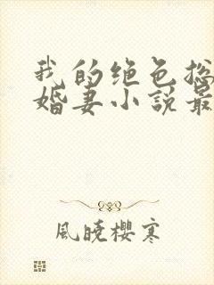 我的绝色总裁未婚妻小说最新章节