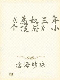 《为奴三年后整个侯府》小说