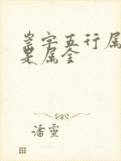 崇字五行属土还是属金