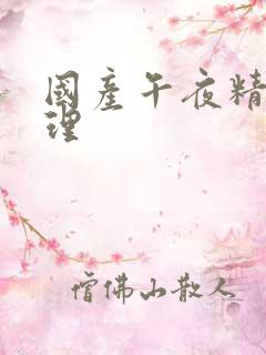 国产午夜精品伦理