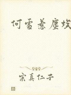 何处惹尘埃短剧