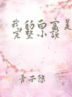我的白富美老婆完整小说