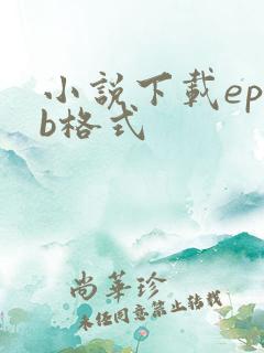 小说下载epub格式
