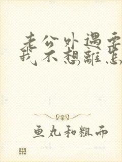 老公外遇要离婚我不想离怎么办