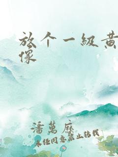 放个一级黄色录像