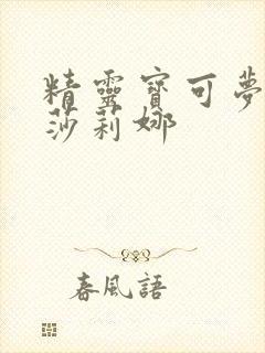 精灵宝可梦堕落莎莉娜