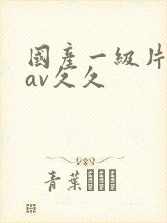 国产一级片91av久久