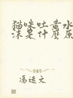 猫咪吐黄水带泡沫是什么原因