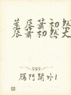 叶辰萧初然 叶辰萧初然大结局