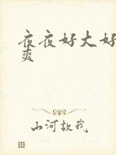 夜夜好大好硬好爽