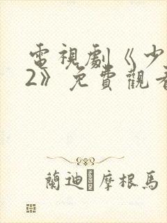 电视剧《少年派2》免费观看