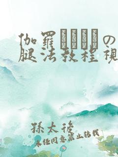 伽罗ちゃんへの腿法教程视频