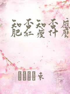 知否知否应是绿肥红瘦什么意思