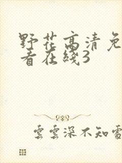 野花高清免费观看在线3