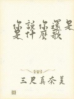 你说你还是爱我是什么歌