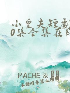 小皇夫短剧100集全集在线观看免费