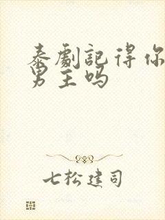 泰剧记得你是双男主吗