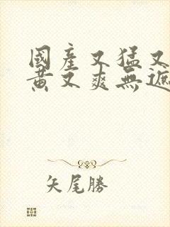 国产又猛又粗又黄又爽无遮挡