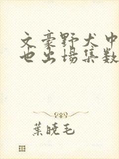 文豪野犬中原中也出场集数