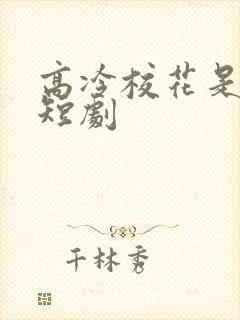 高冷校花是我妹短剧