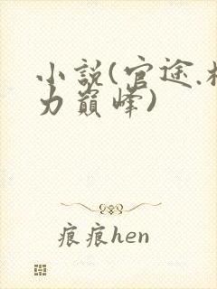 小说(官途.权力巅峰)