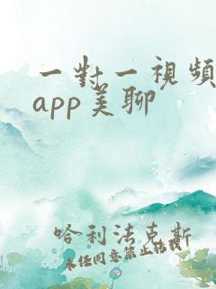 一对一视频聊天app美聊