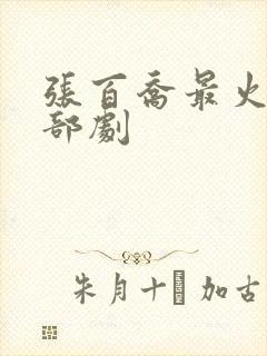 张百乔最火的三部剧