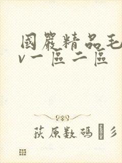 国严精品毛片av一区二区