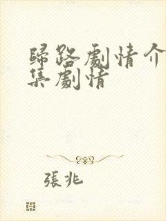 归路剧情介绍分集剧情