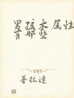 男孩木属性的字有哪些