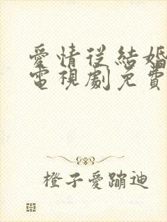 爱情从结婚开始电视剧免费观看