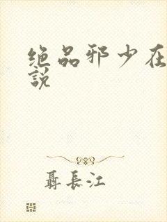 绝品邪少在线小说