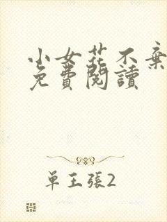 小女花不弃小说免费阅读