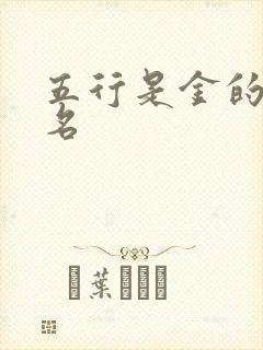 五行是金的女孩名