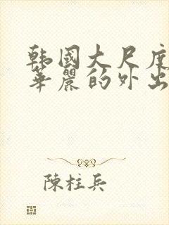 韩国大尺度电影华丽的外出