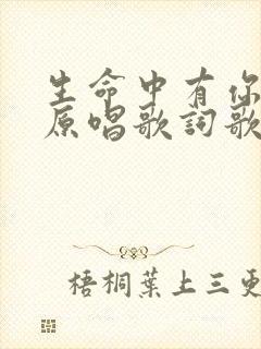 生命中有你陪我原唱歌词歌谱