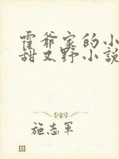 霍爷家的小祖宗甜又野小说免费阅读