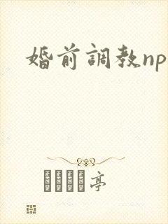 婚前调教nph