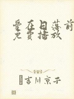 爱在日落前全集免费播放