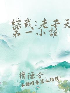 综武:老子天下第一小说