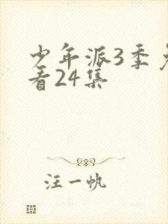 少年派3季免费看24集