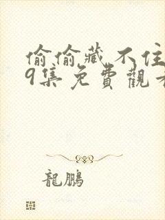 偷偷藏不住第19集免费观看全集