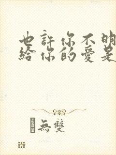 也许你不明白我给你的爱是什么歌